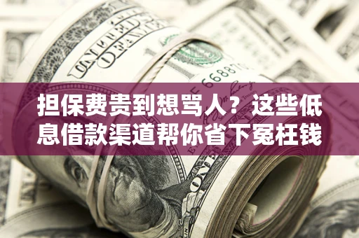 济南担保费贵到想骂人？这些低息借款渠道帮你省下冤枉钱