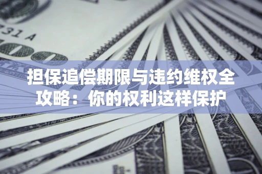 济南担保追偿期限与违约维权全攻略：你的权利这样保护